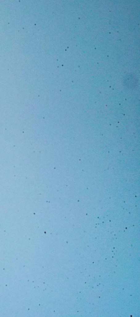 Sensor vor der Reinigung...